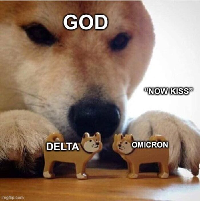 2022 Memes - Deltacron memes