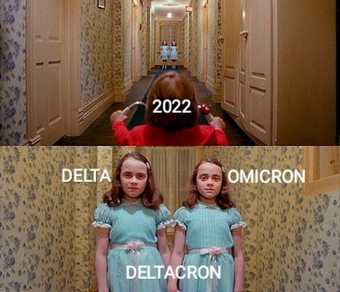 2022 Memes - Deltacron memes