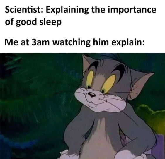 Can't Sleep Memes - importance of sleep