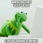 Can't Sleep Memes - kermit the frog