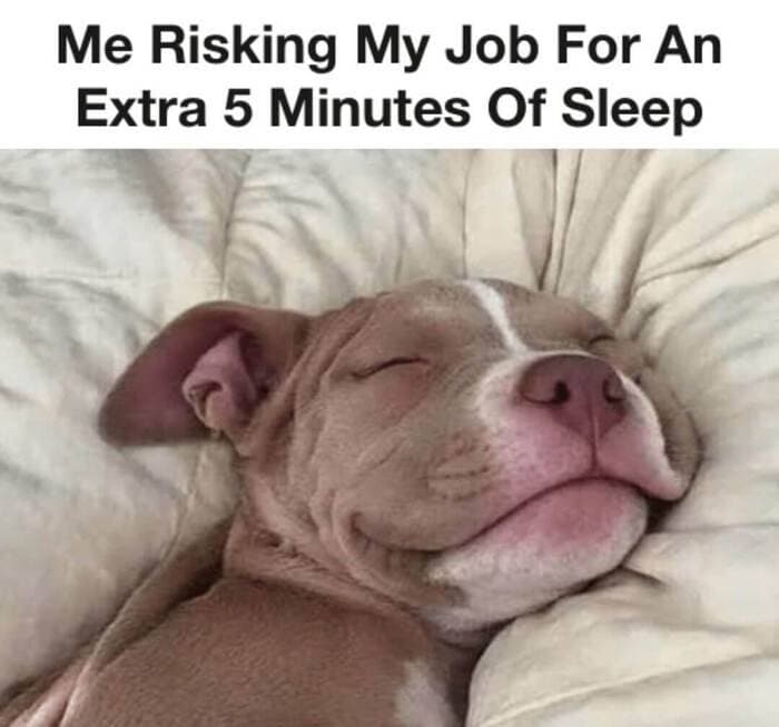 Can't Sleep Memes -extra 5 minutes of sleep