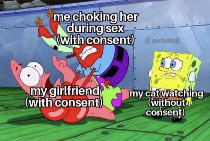 Dirty Memes - cat watching