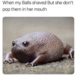 Dirty Memes - smooth frog