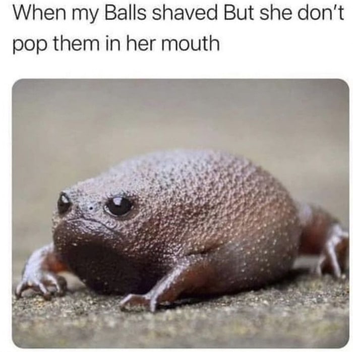 Dirty Memes - smooth frog