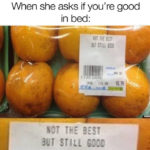 Dirty Memes - not the best but still good