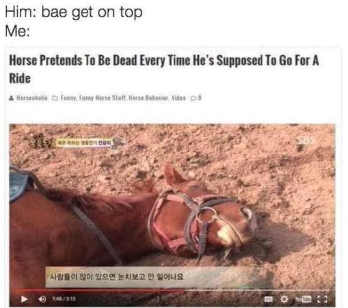 Dirty Memes - horse playing dead