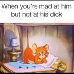 Dirty Memes - angry cat