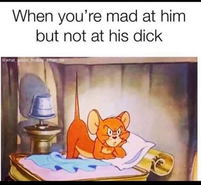 Dirty Memes - angry cat