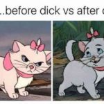 Dirty Memes - before and after cat