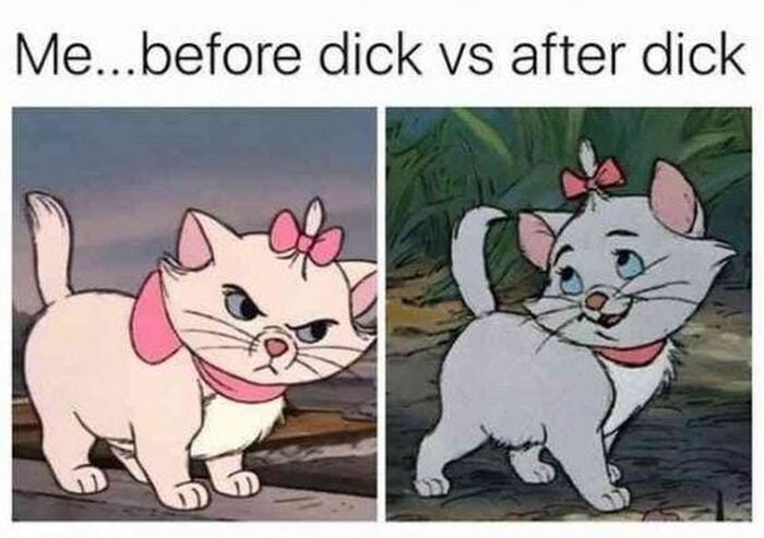 Dirty Memes - before and after cat