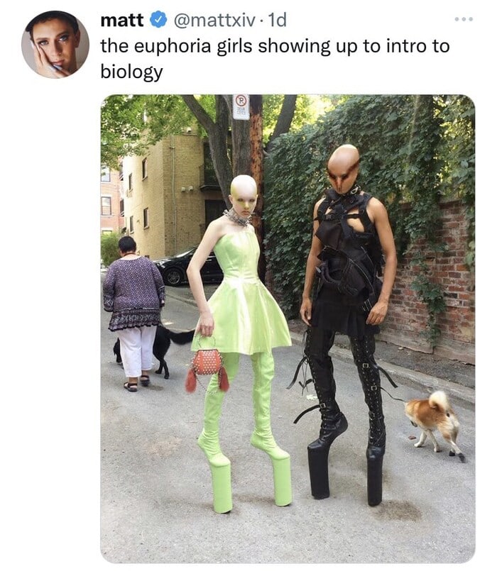 Euphoria Memes - students at euphoria high