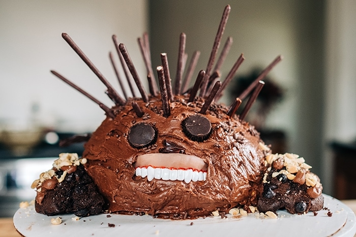 Funny Cakes - Hedgehog cake