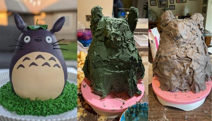 Funny Cakes - Totoro Fail Cake