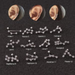 Helix Piercing Jewelry - Zodiac Constellation Studs