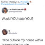 Love Memes - would you date you?