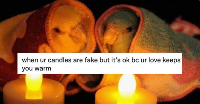 Love Memes
