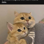 Love Memes - if we don't hug like this I don't want it