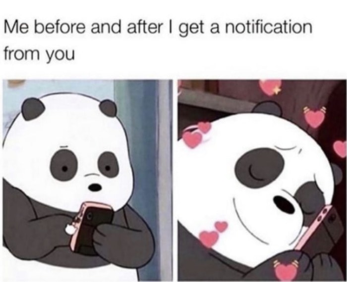 Love Memes - before and after notification from you