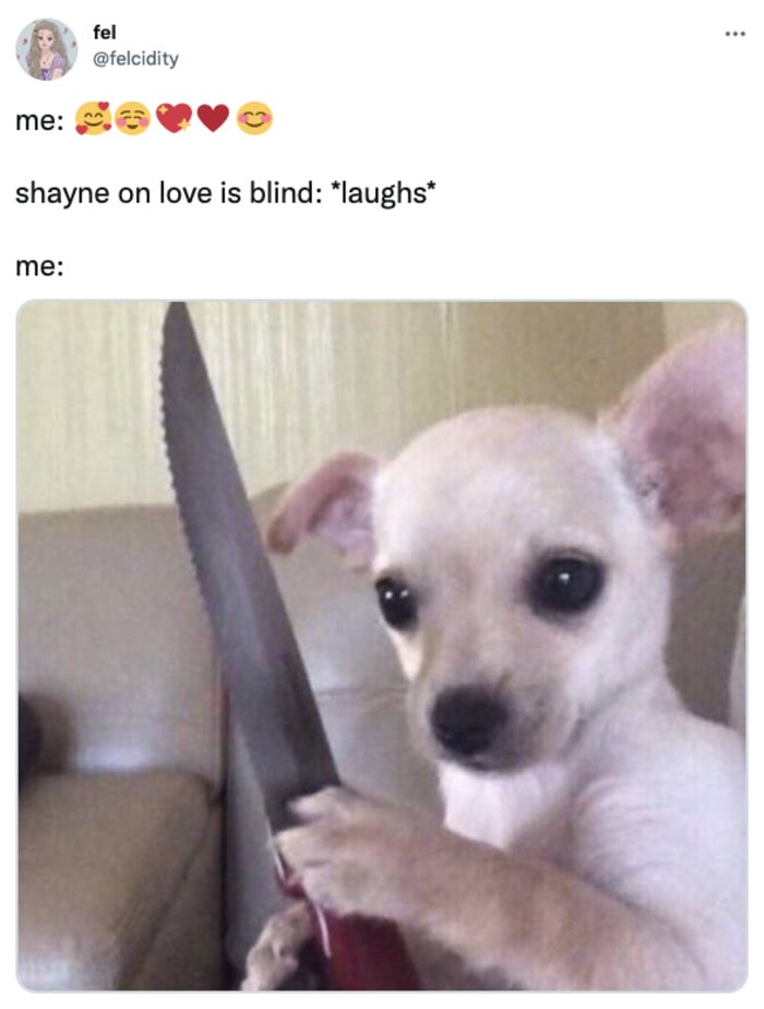Love is Blind Tweets - Shayne laughs