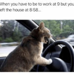 Relatable Memes - leave at 8:58 for work at 9:00