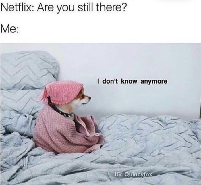 The 29 Most Relatable Memes We Could Find - Let's Eat Cake The 29 Most Relatable Memes We Could Find - Let's Eat Cake