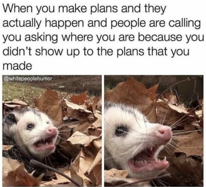 Relatable Memes - making plans