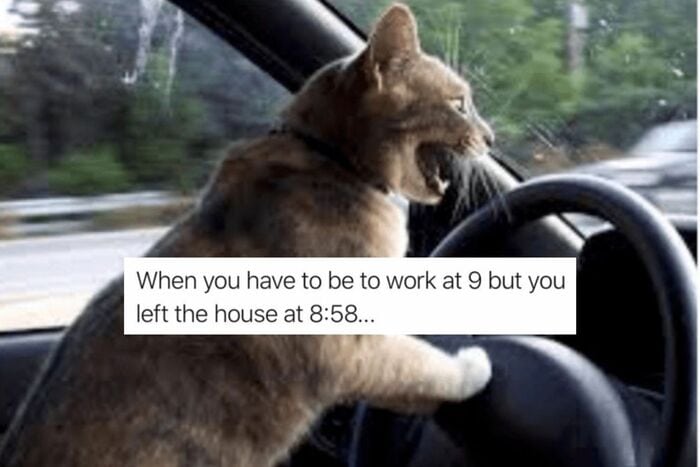 Relatable Memes