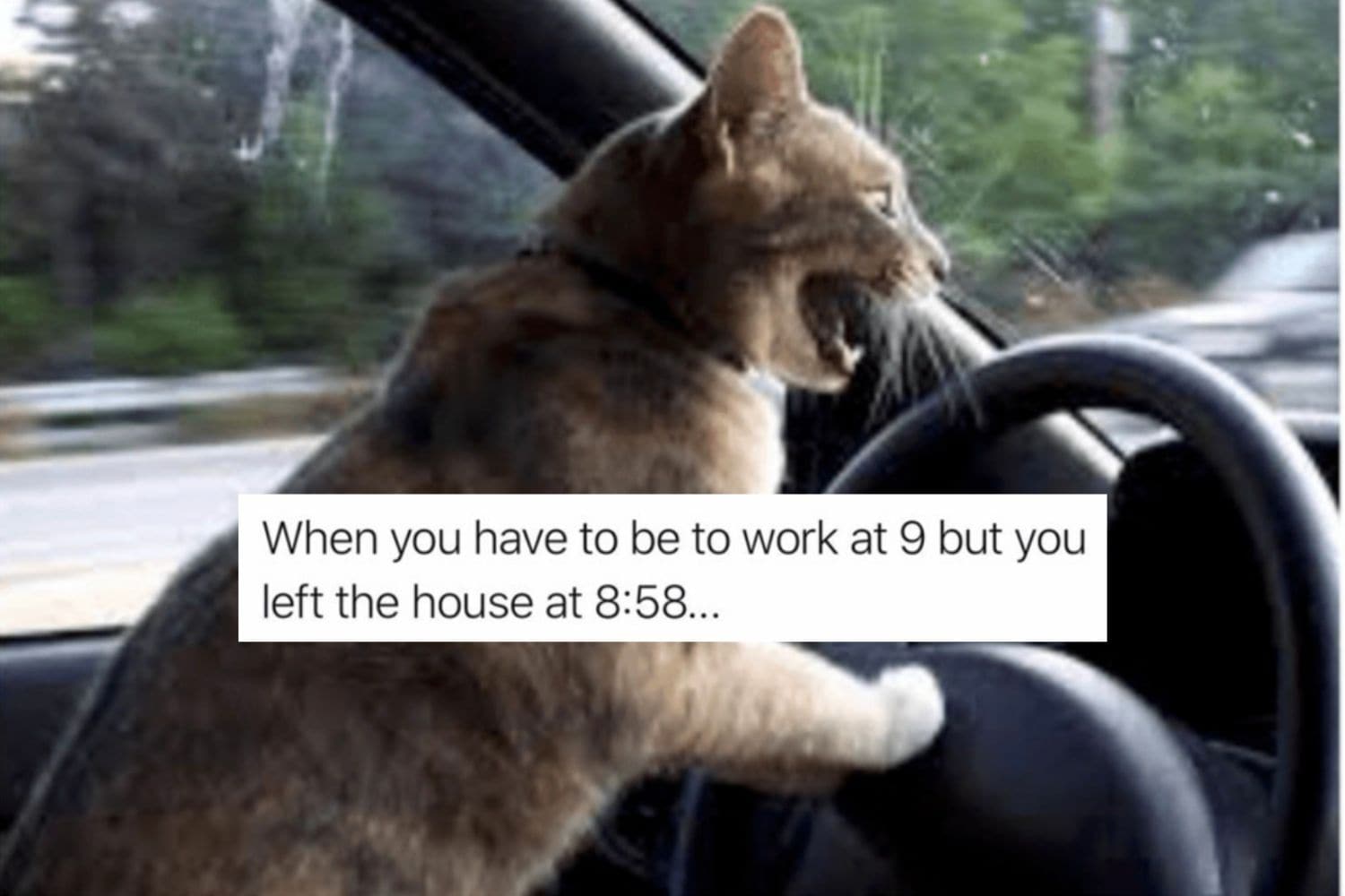 The 29 Most Relatable Memes We Could Find - Let's Eat Cake The 29 Most Relatable Memes We Could Find - Let's Eat Cake