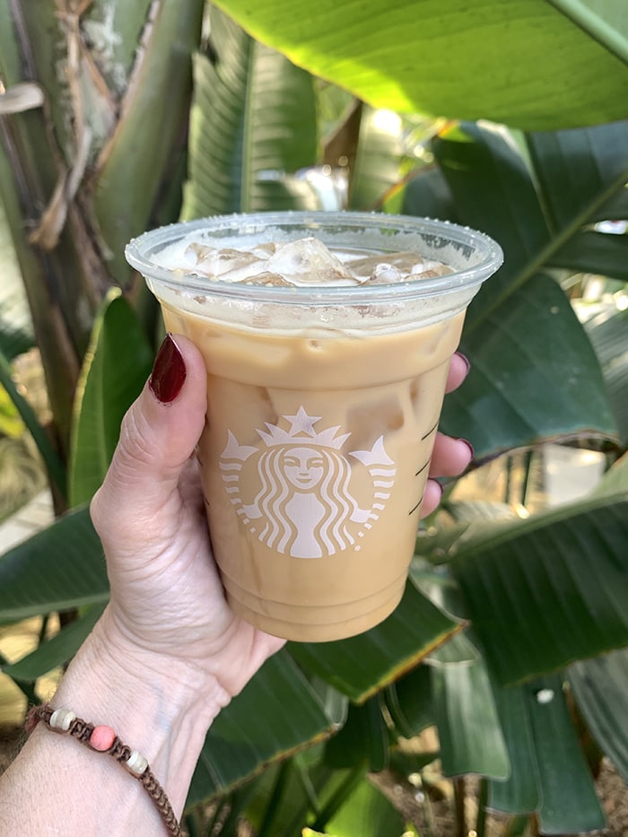 Starbucks Toasted Oatmilk Shaken Espresso