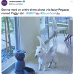 Super Bowl 2022 Memes Tweets - Pegasus