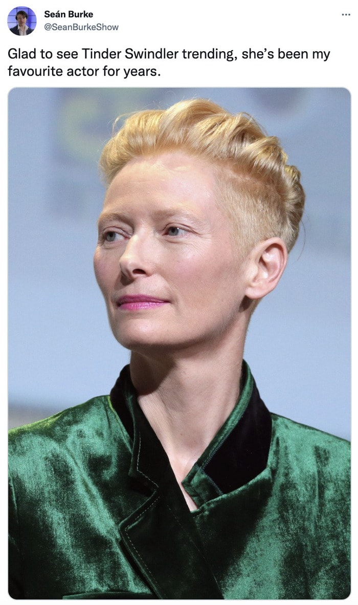 Tinder Swindler Tweets Memes - tilda swinton