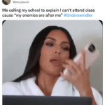 Tinder Swindler Tweets Memes - kim kardashian