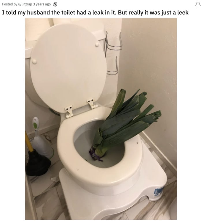 April Fool's Jokes - toilet has a leek