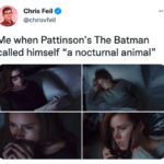 Batman Memes - nocturnal animal