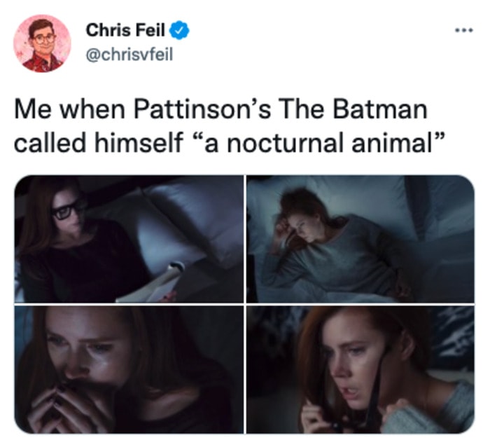 Batman Memes - nocturnal animal