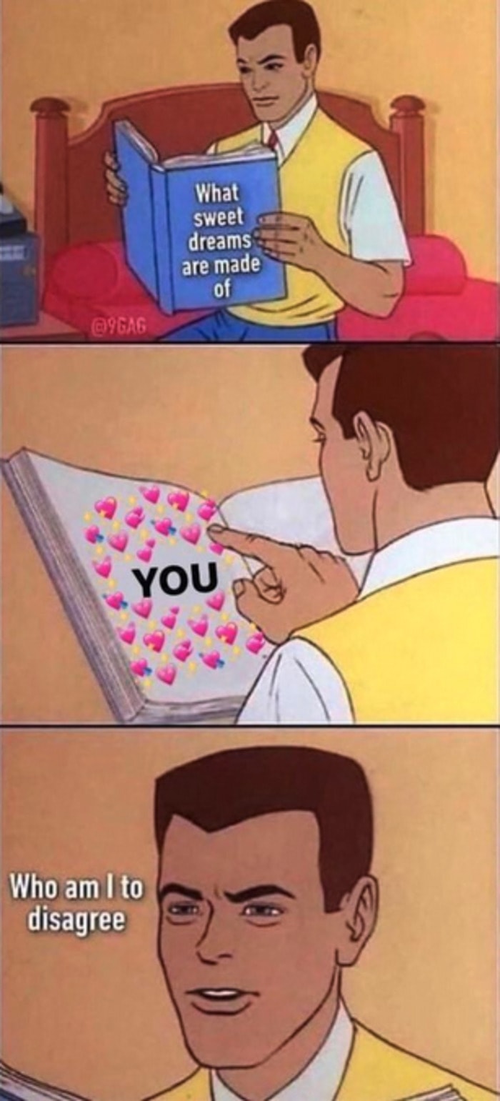 Cute Memes - you are what dreams are made of 