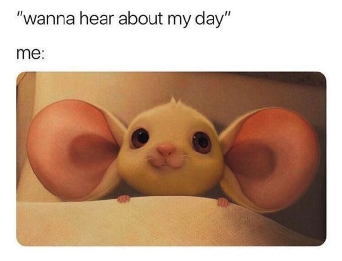 Cute Memes - wanna hear about my day mouse with big ears