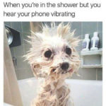 Cute Memes - phone vibrating in the shower