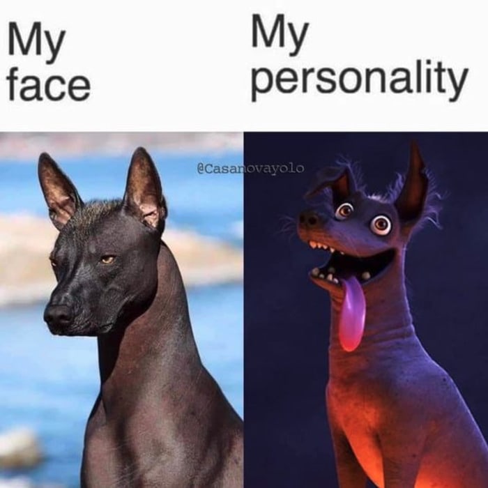 Cute Memes - my face vs. my personality