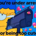 Cute Memes - you're under arrest for being too cute