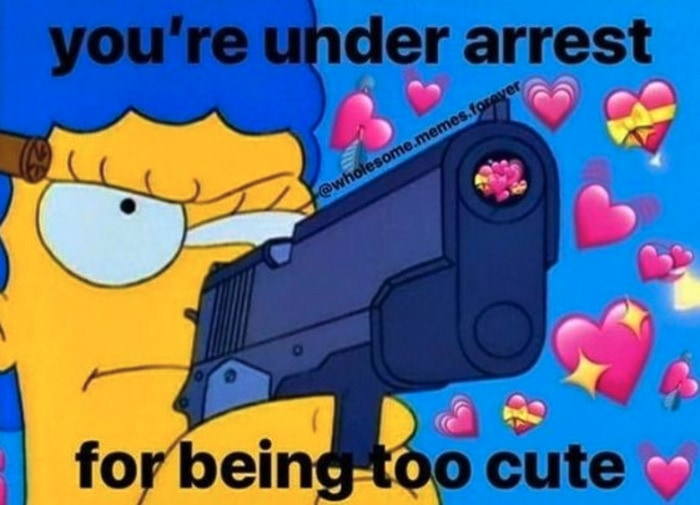 Cute Memes - you're under arrest for being too cute