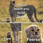 Cute Memes - I must teach you to be fierce