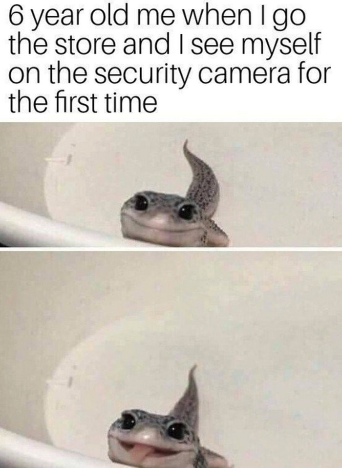 Cute Memes - When you see yourself on the security camera at the store