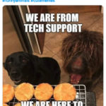 Cute Memes - Tech Support delete your cookies