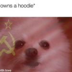 Cute Memes - owns a hoodie