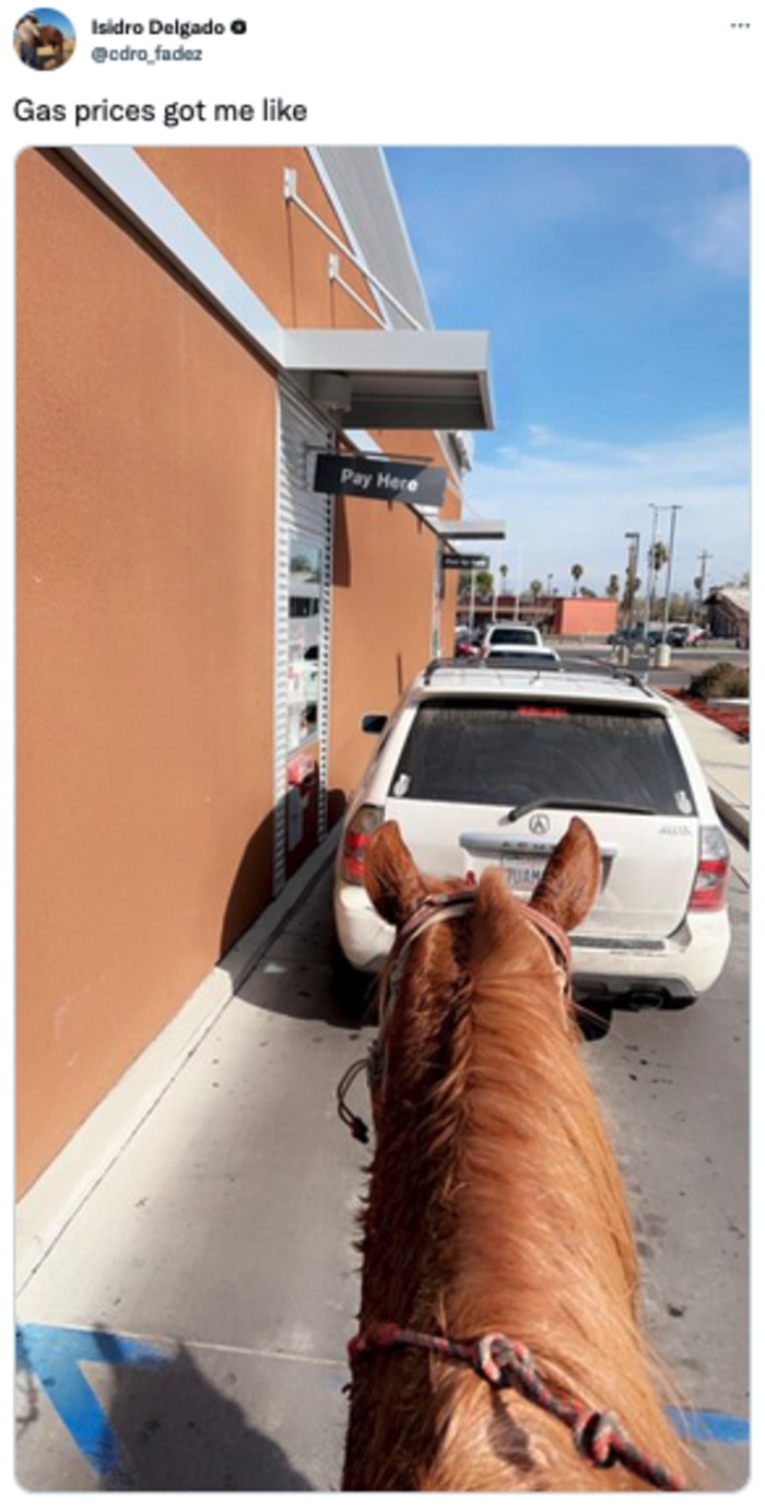 Gas Memes Tweets - riding a horse