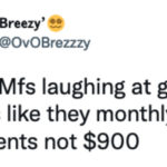 Gas Memes Tweets - Tesla owners laughing