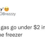Gas Memes Tweets - freezer