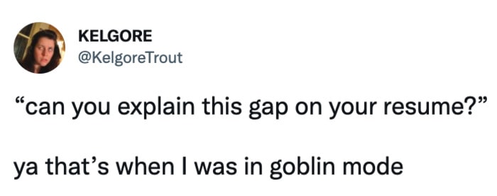 Goblin Mode - resume gap