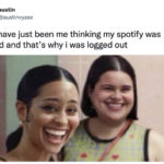 Spotify Memes Tweets - euphoria